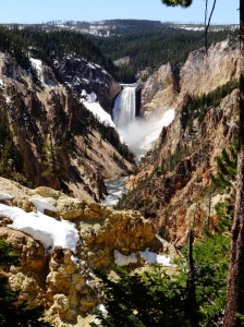 Lower Falls at Yellow Stone National Forest